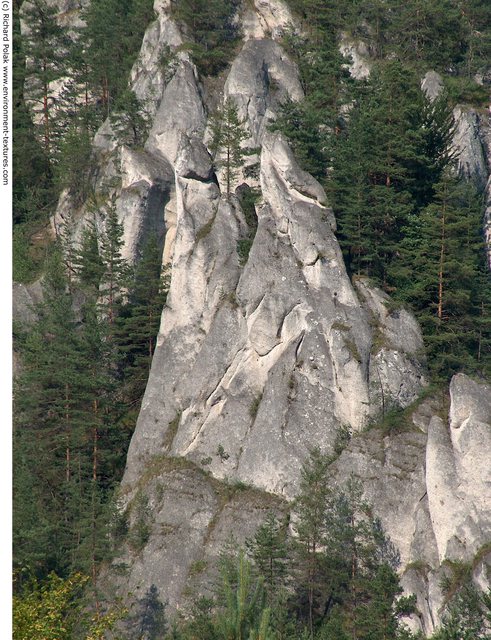 Cliffs Overgrown Rock