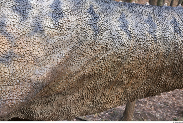 Dinosaur Skin