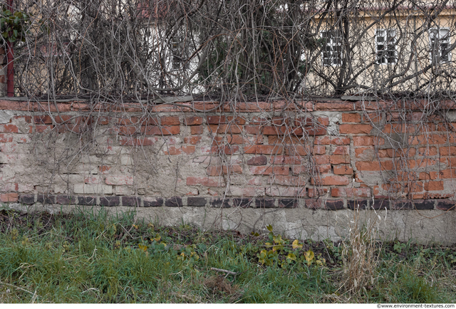 Wall Bricks Overgrown
