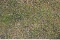 Photo texture of Grass