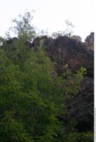 overgrown cliff
