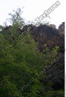 overgrown cliff