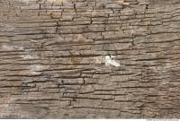photo texture of wood rough