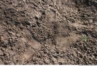 Photo texture of Soil Rough