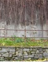 Walls Hedge 0056