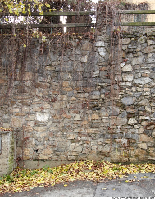 Overgrown Walls Stones