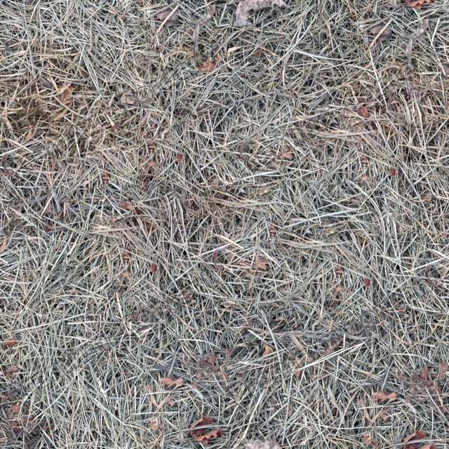Seamless Grass Dead