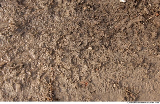 Mud Soil