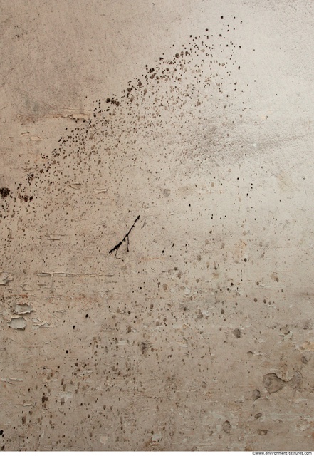 Wall Plaster Dirty