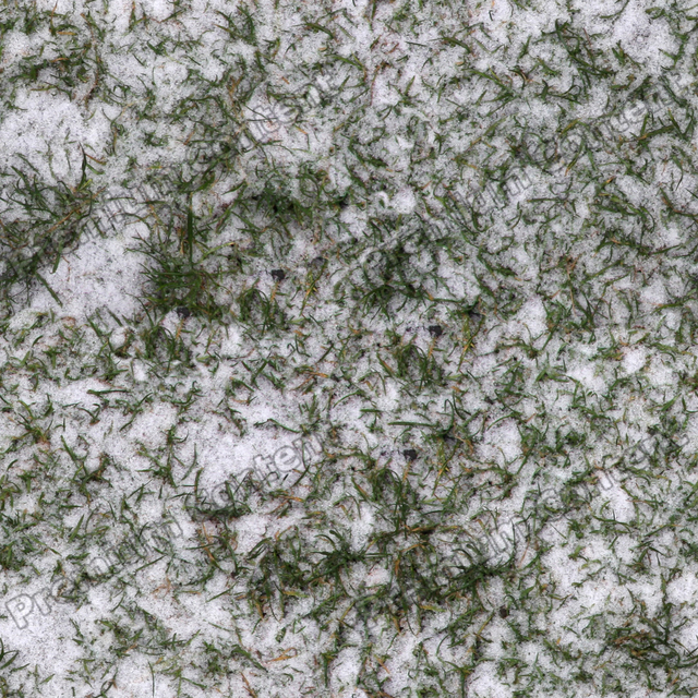 Seamless Grass Frozen