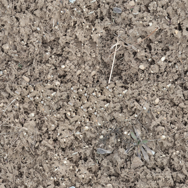 seamless soil texture