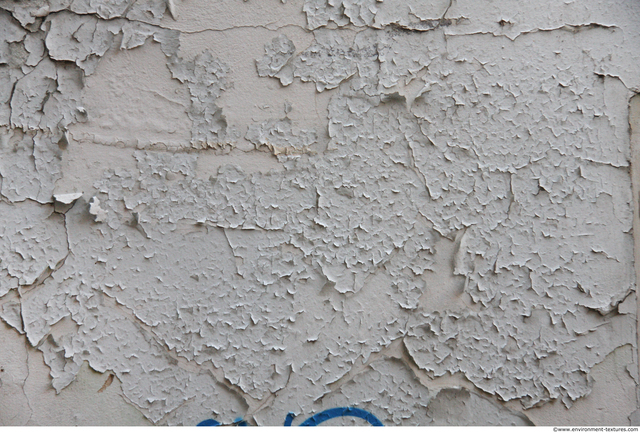 Wall Plaster Paint Peeling