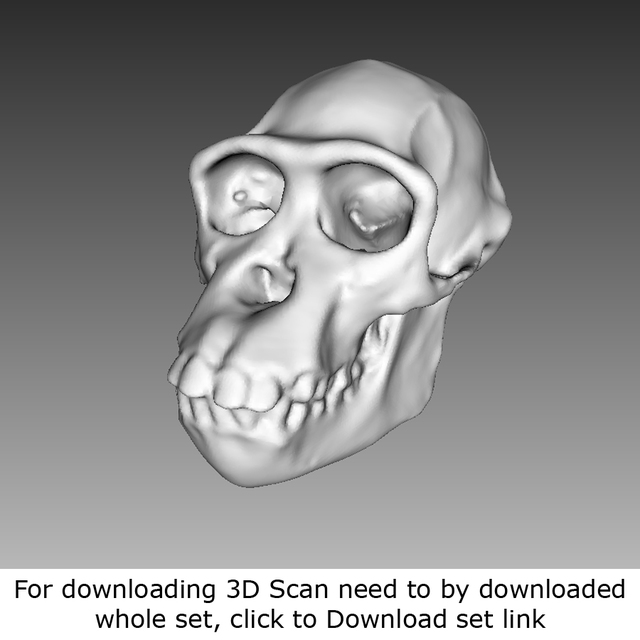 Mixed 3D Scan