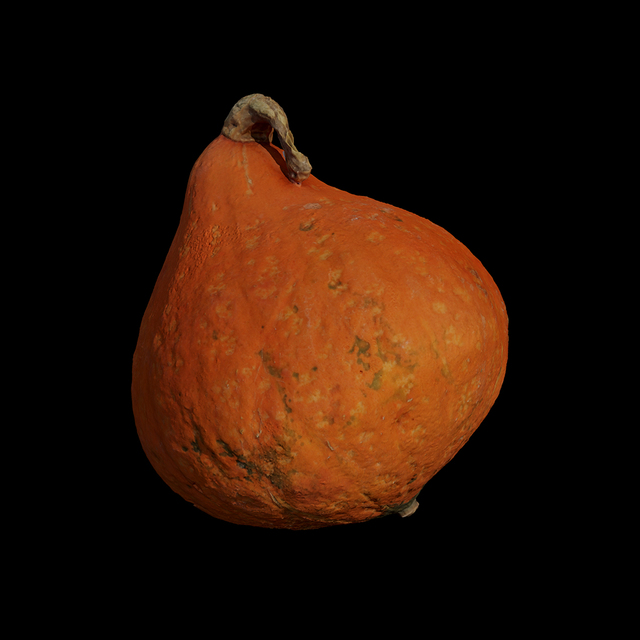 3D scan pumpkin