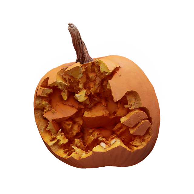 Cleaned Pumpkin Crashed 3D Scan