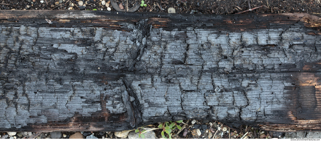 Burned Wood