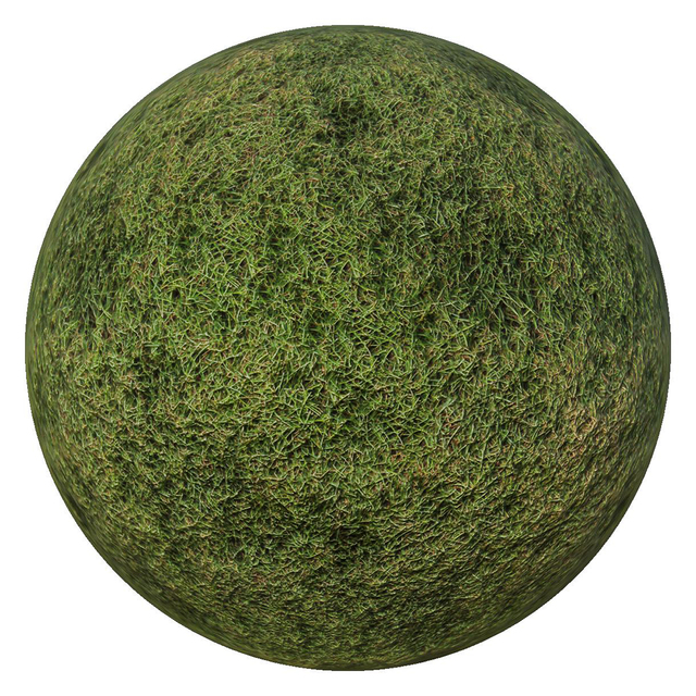 PBR texture grass