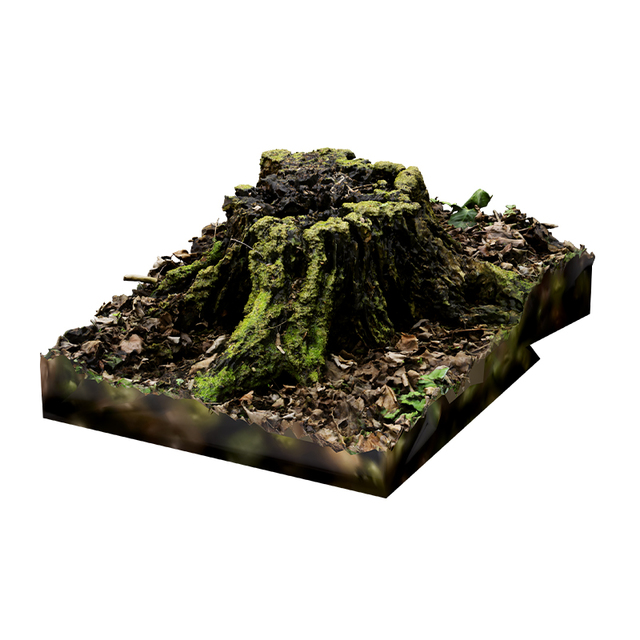 Stump Tree RAW 3D Scan