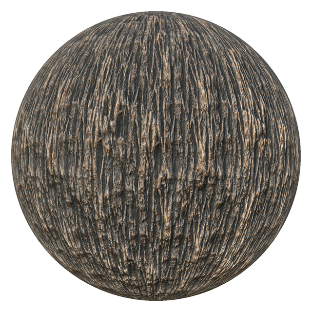 PBR texture wood tree bark