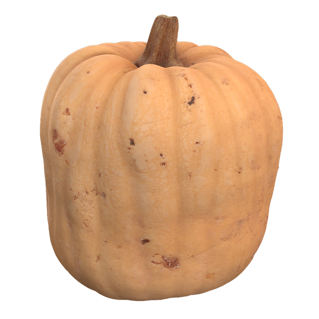 Pumpkin 3D Scan Retopo