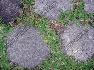 Photo Texture of Overgrown Floor
