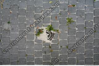 Photo Texture of Overgrown Floor