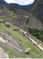 World Peru 0057