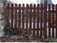 Walls Fence 0021