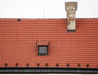 Tiles Roof 0167