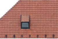 Tiles Roof 0231