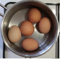 Eggs 0001
