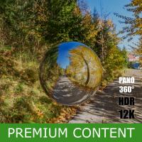 panorama 360 HDRi background forest road
