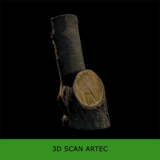 3D scan tree wood