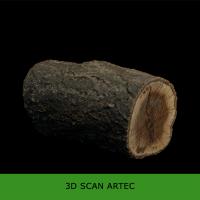 3D scan tree wood #3